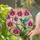 duiyfppz/products/6a2bcd9a5dbe8817f75863f7/gallery/KdjKKfAe_l