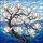duiyfppz/products/6a2bcdadcdcb776139003025/gallery/QtI6FMeqF7