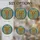 duiyfppz/products/6a2bd00ccdcb77d3e5003474/gallery/ixMMHUuNpg