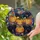 duiyfppz/products/6a2bd088d35199488a08df3e/gallery/hmprHZhHgm