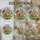 duiyfppz/products/6a2bd0d45dbe88650b5869f5/gallery/6XnuilXXmb
