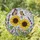 duiyfppz/products/6a2bd0e360b9ca224672de3b/gallery/M0d3tVkHaH