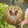 duiyfppz/products/6a2bd110cdcb774d2a003615/gallery/wbiywpAfr5