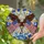 duiyfppz/products/6a2bd18324089318b05ccccc/gallery/v2itFoKcvm