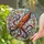 duiyfppz/products/6a2bd1901bc7970284ce0ffb/gallery/kjaJhZMQhk
