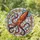duiyfppz/products/6a2bd1901bc7970284ce0ffb/gallery/xOFbnWhg_5