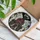 duiyfppz/products/6a2bd1a28c904fcdaf5d3018/gallery/3_1aSIOe1U
