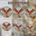 duiyfppz/products/6a2bd1fd766033519cac500e/gallery/2i-SSnN5XK