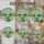 duiyfppz/products/6a2bd24ecdcb77164100382f/gallery/K_ldRlRW-d