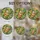 duiyfppz/products/6a2bd3877660337794ac5306/gallery/GTc2Tam0nf