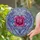 duiyfppz/products/6a2bd3cbf7002582fd65218e/gallery/0n-RqRWhsk