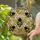 duiyfppz/products/6a2bd471071a2686dd5d3c08/gallery/Kzd-Zr8yGR