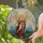 duiyfppz/products/6a2bd482d35199caf608e71d/gallery/Oq-XvyaLc0