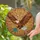duiyfppz/products/6a2bd4a560b9cad96572e3dc/gallery/i65sKLRB-Y