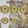 duiyfppz/products/6a2bd4b71bc7975993ce15ba/gallery/mKS2Bh2Dp9