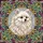 duiyfppz/products/6a2bd53b071a263dbd5d3daa/gallery/l2wEpYxwN1