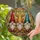 duiyfppz/products/6a2bd54b2408938eca5cd40a/gallery/r1qJmxsVAq
