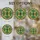 duiyfppz/products/6a2bd58d60b9caa1c672e5cd/gallery/JTj7v6lWKt
