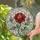 duiyfppz/products/6a2bd6491bc797e89fce1838/gallery/aoooOKWTN4
