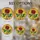 duiyfppz/products/6a2bd68bf70025647465258b/gallery/aQzI4JevYZ