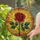 duiyfppz/products/6a2bd68bf70025647465258b/gallery/w_dBeEjls-
