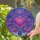 duiyfppz/products/6a2bd6b9071a269fcf5d408f/gallery/bkvH1zNRSp