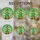 duiyfppz/products/6a2bd71df700254d31652659/gallery/W9wOeSzflH