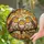 duiyfppz/products/6a2bd7dbcdcb77e60900482e/gallery/z6H4r-8tw4