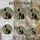 duiyfppz/products/6a2bd80f8c904f39d45d39ff/gallery/qiVdT6OTHc