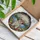 duiyfppz/products/6a2bd81d071a2663fb5d41d6/gallery/3vmJJYVjW-