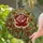 duiyfppz/products/6a2bd82b240893e8325cd817/gallery/BfjDuCy0yY