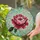 duiyfppz/products/6a2bd8fd071a26390e5d42cb/gallery/QW0I0_1aHZ