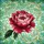 duiyfppz/products/6a2bd8fd071a26390e5d42cb/gallery/j7G8vhtO6E
