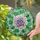 duiyfppz/products/6a2bda477660335b71ac5d15/gallery/5LJoarHTz1