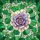 duiyfppz/products/6a2bda477660335b71ac5d15/gallery/Ka0pW_rX2d