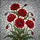 duiyfppz/products/6a2bda8c60b9ca865172ebb4/gallery/h9OrKRgqOV