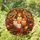 duiyfppz/products/6a2bdc56240893d01b5cdcdb/gallery/LqQesYNyQE