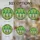 duiyfppz/products/6a2bdcfdd35199491308f148/gallery/VbvBogMApC