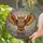 duiyfppz/products/6a2bdd1f7120d75df5275739/gallery/8dzmVnTrV-