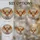 duiyfppz/products/6a2bdd1f7120d75df5275739/gallery/DGs_yFSJkN