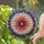 duiyfppz/products/6a2bde1af70025080865301d/gallery/uwR_uVOkej