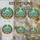 duiyfppz/products/6a2bde7e5dbe8853d4587c52/gallery/XVnYdFR5RF