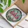 duiyfppz/products/6a2bde95f70025ff0865309c/gallery/rq6M1sSQux