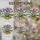 duiyfppz/products/6a2bdec630fd266eec13da8d/gallery/LvPxeVFnKV