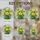 duiyfppz/products/6a2be064d35199a86708f6be/gallery/tm34tOxr-E