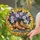 duiyfppz/products/6a2be0eccdcb776f530053d0/gallery/hWR8K2OPpQ