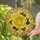 duiyfppz/products/6a2be11df70025aaff6534ee/gallery/r62xXpgbx0