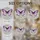 duiyfppz/products/6a2be235d35199c8a408fb5f/gallery/Jt4iAMz1xF