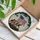 duiyfppz/products/6a2be2587660334517ac6919/gallery/18wqADCDsZ