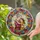 duiyfppz/products/6a2be278071a26c36b5d4f58/gallery/JRh7xqLBjo